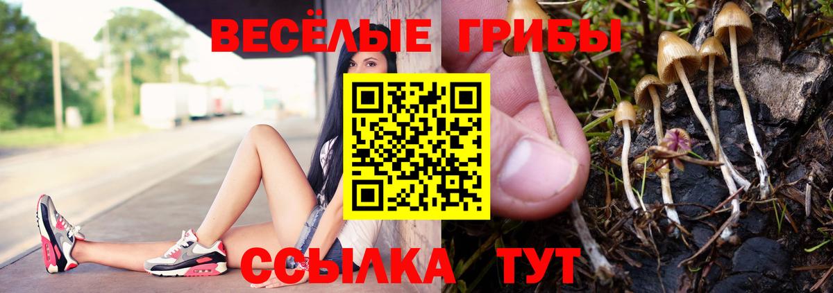 Галлюциногенные грибы Magic Shrooms  Вход с VPN  Миллерово  Галлюциногенные грибы прущие грибы 