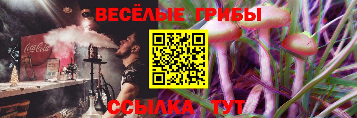 Псилоцибиновые грибы GOLDEN TEACHER Миллерово